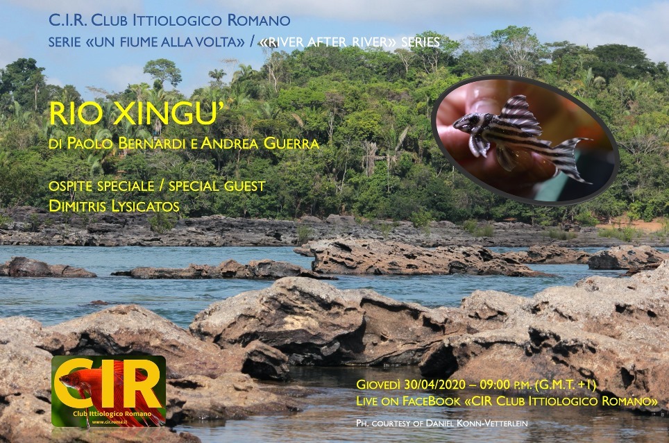 locandina Rio Xingu