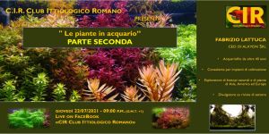 Serata CIR del 16 Setttembre 2021: Fabrizio Lattuca, "Le piante in acquario" - seconda parte 