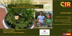 Serata CIR 11 Novembre 2021- Davide Serra: "Le meraviglie del minipond - piante e pesci all'aperto in terrazzo o in giardino"