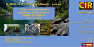 Serata CIR 13 gennaio 2022: "Pesci dal Nord America. Esperienze di allevamento - Parte 2" di Mauro Natali"