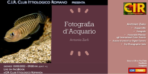 Serata CIR 10 Marzo 2022: "Fotografia d'acquario" di Antonio Zarli
