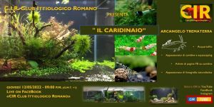 Serata CIR 12 Maggio 2022: "Il Caridinaio" di Arcangelo Trematerra