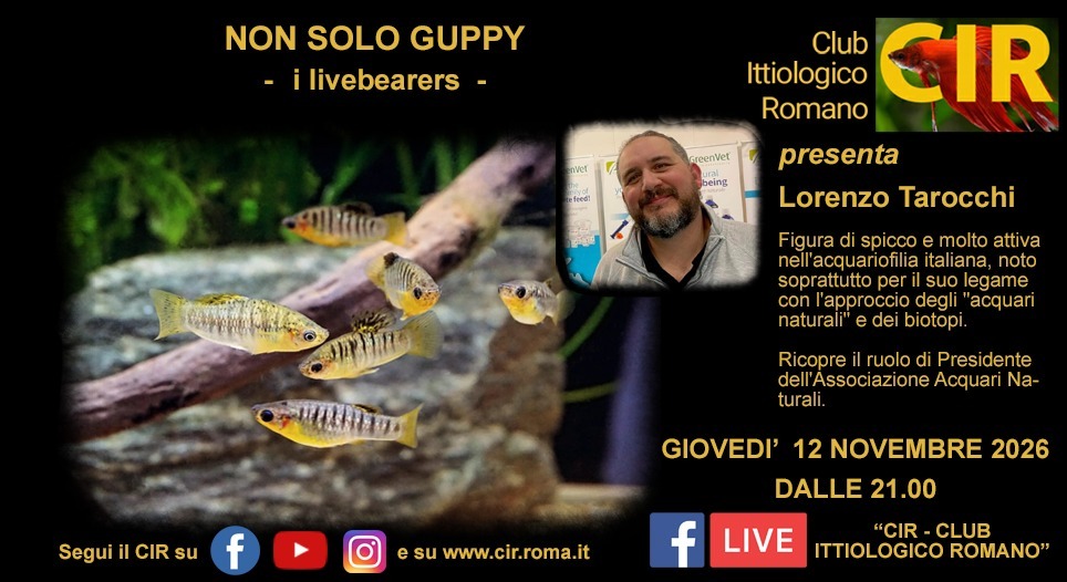 Serata CIR del 12 Novembre 2026: "Livebearers - I poecilidi" con Lorenzo Tarocchi