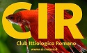 Logo CIR