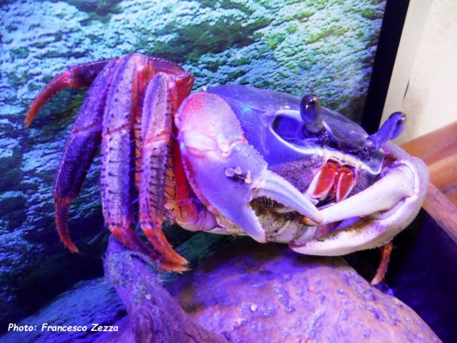 DSCF2884