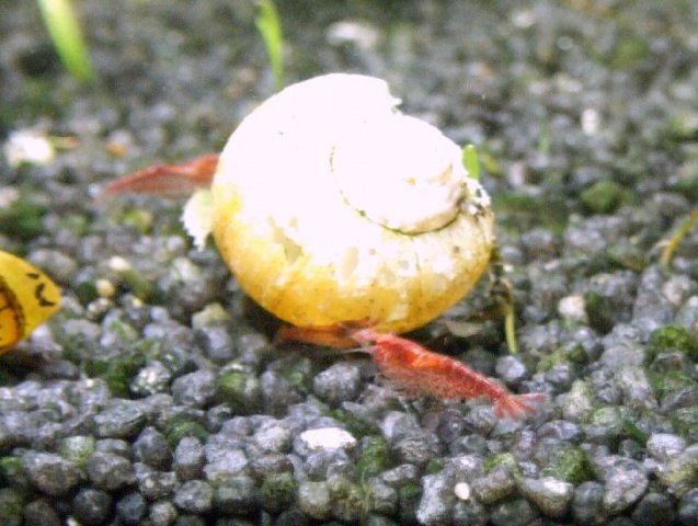 DSCF5034