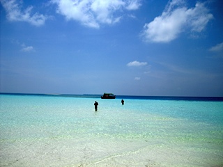 Maldive sopra e sotto