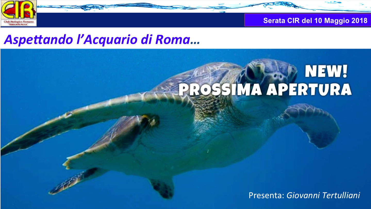 VERSO L'ACQUARIO DI ROMA